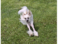 ������������� ���� ���������