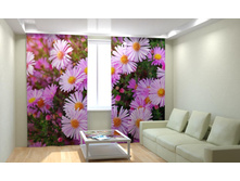 ������� ���.jpg