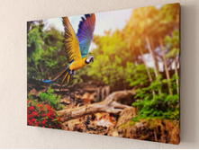 ������� �������.jpg