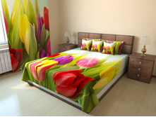 ��������� ��������.jpg