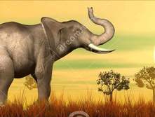 �� ������������.jpg