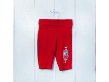 ������ ��� ������� ���.813