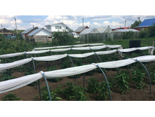 � ������ ����� ������ ��������� ���� ��������� � ��������� ��������