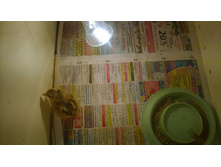 ��������� ���������