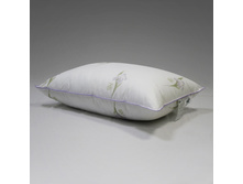 ������� �������� ����.jpg