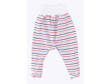 �������	v0309 ��������