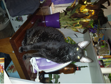 DSC 0040.JPG