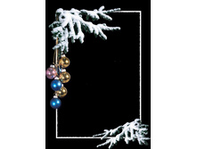 565c590c5ccae 05017c4f5123fxl.jpg