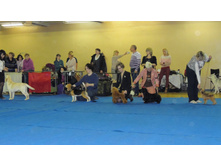 DSCN6207.JPG