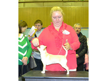 ���� ��������