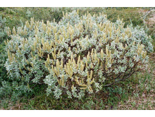 ��� ����������.jpg