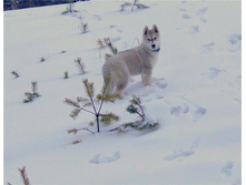 ��� � ����2.jpg