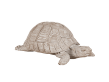 ��������-2 (����������).png