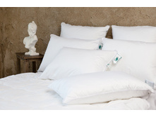 ������� ��������� ������.jpg