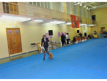DSCN6126.JPG