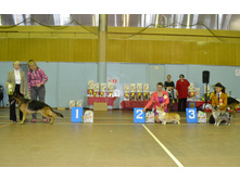 1 ������