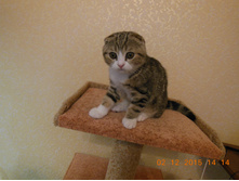 DSCN1998.JPG
