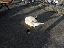 0 9825a af3c1124 orig.jpg