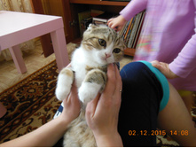 DSCN1987.JPG