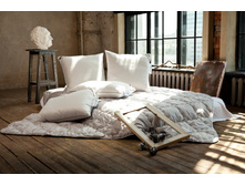 �������� ����.jpg