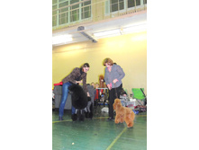DSCN5890.JPG