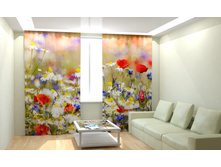 ���� ����.jpg