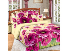 ������� 2 ����.jpg