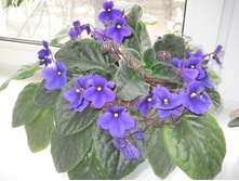2013-04-07 11-19-21.jpg