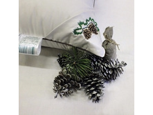 ������� �������� ���� � �������.jpg