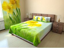 ������ ��������.jpg