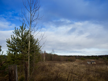 ������ ������� 2015-152.jpg