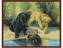 GL8443 ������� � ����� ���� 505 ������