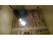 ��������� ���������