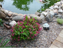 ������� «�����».jpg