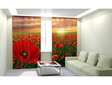 ���� ����.jpg