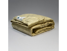 ������ ��� ����������.JPG