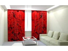 ������� ����.jpg