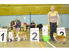 ���� �����