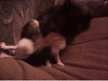 IMG 20151211 131457.jpg