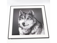 QW-66081 (10) 61�4�64��. ������� ���� � �������� 3D.���� 3150�.jpg