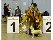 ���� ��������