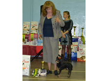 ���� ���������