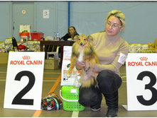 ���� �����