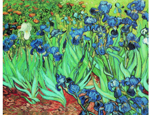 ����� (���. 161) - 230 ���..jpg