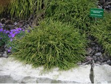 ����������� ������������� «��������»1.jpg