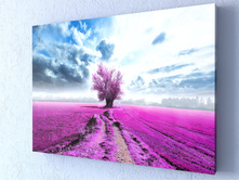 ����� ��������.jpg