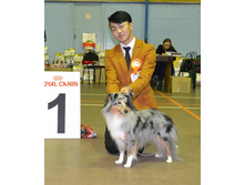 ���� �����