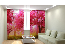 ������� ���.jpg