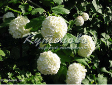 ������ ��������� 180�