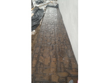 ������������ �������� �����